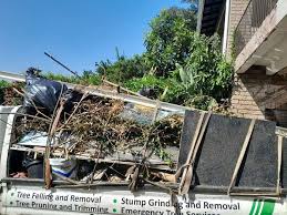 Best Electronics and E-Waste Disposal  in Rising Sun Lebanon, DE